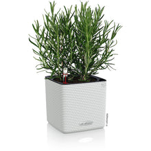 Load image into Gallery viewer, Planter CUBE Color 13380 LECHUZA