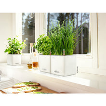 Load image into Gallery viewer, Planter CUBE Color 13380 LECHUZA
