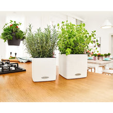 Load image into Gallery viewer, Planter CUBE Color 13380 LECHUZA