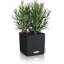 Load image into Gallery viewer, Planter CUBE Color 13384 LECHUZA