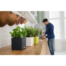 Load image into Gallery viewer, Planter CUBE Color 13384 LECHUZA