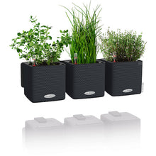 Load image into Gallery viewer, Planter CUBE Color 13384 LECHUZA