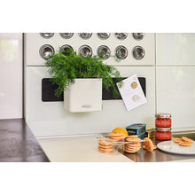 Load image into Gallery viewer, Planter CUBE Color 13384 LECHUZA