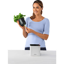 Load image into Gallery viewer, Planter CUBE Color 13384 LECHUZA