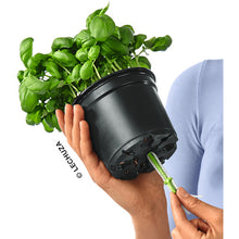 Load image into Gallery viewer, Planter CUBE Color 13384 LECHUZA