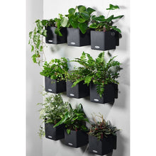 Load image into Gallery viewer, Planter CUBE Color 13478 LECHUZA
