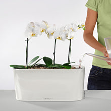 Load image into Gallery viewer, Planter DELTA 15467 LECHUZA