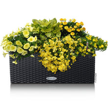 Load image into Gallery viewer, Planter BALCONERA Cottage 15602 LECHUZA