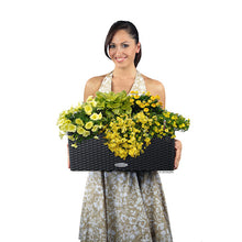 Load image into Gallery viewer, Planter BALCONERA Cottage 15602 LECHUZA