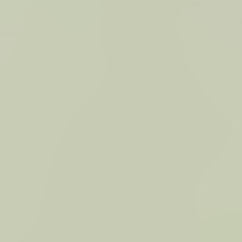 Load image into Gallery viewer, Water-Based Paint Camouflage 4976124876806 NIPPE