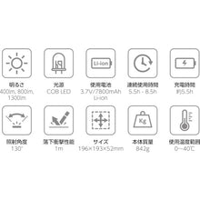 Load image into Gallery viewer, Bluethooth Flood Light 87236 BERUF