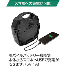 Load image into Gallery viewer, Bluethooth Flood Light 87236 BERUF