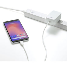 Load image into Gallery viewer, Charger ACA-PD82W SANWA