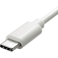 Load image into Gallery viewer, Charger ACA-PD82W SANWA
