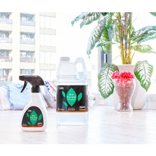 Load image into Gallery viewer, Deodorant AFF250 TRUSCO