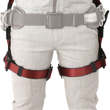 Load image into Gallery viewer, Full Body Harness AHAF-RE Tajima