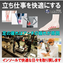 Load image into Gallery viewer, Insole CF20M ASHIMARU