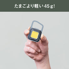 Load image into Gallery viewer, Rechargeable Multi LED Light COB-WL006GB MUSASHI