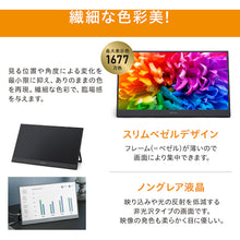 Load image into Gallery viewer, Portable Monitor DP-BF162S-B(103160) IRIS