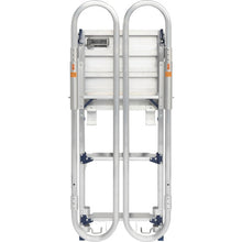 Load image into Gallery viewer, Ladder with Hand Frame DXF-14TEA Pica