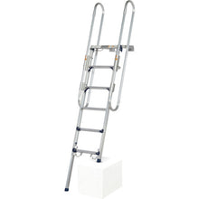 Load image into Gallery viewer, Ladder with Hand Frame DXF-18TEA Pica