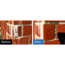 Load image into Gallery viewer, Efflorescence remover ES-101-1kg Bianco