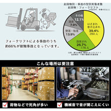 Load image into Gallery viewer, FRKLEDSBK SANKO