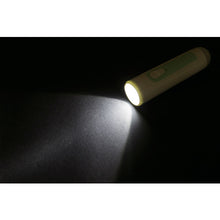 Load image into Gallery viewer, Disaster Prevention set GB-BS01 LINXAS