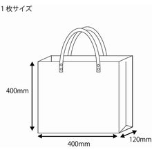 Load image into Gallery viewer, PVC Transparent Bag   006464010  HEIKO
