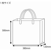 Load image into Gallery viewer, PVC Transparent Bag with Plastic Handle  006464050  HEIKO
