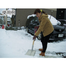 Load image into Gallery viewer, Shovel  007879  COMPAL
