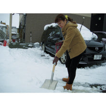 Load image into Gallery viewer, Shovel  007879  COMPAL
