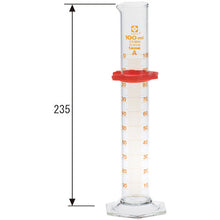 Load image into Gallery viewer, Graduated Cylinder CustomA 100mL  026500-100  SIBATA
