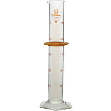 Load image into Gallery viewer, Graduated Cylinder CustomA 250mL  026500-250  SIBATA
