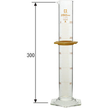 Load image into Gallery viewer, Graduated Cylinder CustomA 250mL  026500-250  SIBATA
