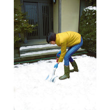 Load image into Gallery viewer, Shovel  029581  COMPAL

