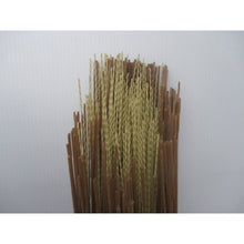 Load image into Gallery viewer, Gardenpuradakehooki  029840  COMPAL
