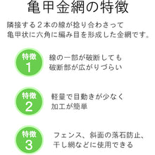 Load image into Gallery viewer, Chicken Wire Net Made of Vinyl Coated Wire  10160142  DAIDOHANT
