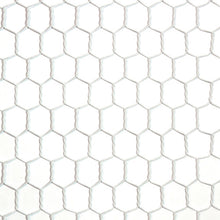 Load image into Gallery viewer, Chicken Wire Net Made of Vinyl Coated Wire  10160144  DAIDOHANT
