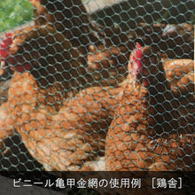 Load image into Gallery viewer, Chicken Wire Net Made of Vinyl Coated Wire  10160145  DAIDOHANT
