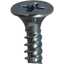 Load image into Gallery viewer, Screw For Light Gauge Steel(Stainless)  10174327  DAIDOHANT
