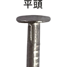 Load image into Gallery viewer, Stainless Steel Nail  10175361  DAIDOHANT
