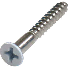 Load image into Gallery viewer, Stainless Coler Wood Flat Head Screw  10179106  DAIDOHANT
