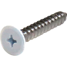 Load image into Gallery viewer, Stainless Coler Flat Head Tapping Screw  10179142  DAIDOHANT

