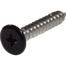 Load image into Gallery viewer, Stainless Coler Flat Head Tapping Screw  10179143  DAIDOHANT
