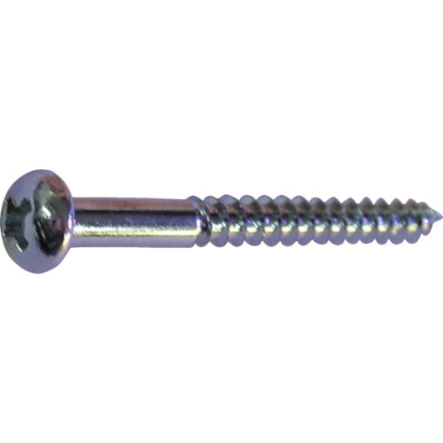 Unichrome Steel Wood Round Head Screw  10183295  DAIDOHANT