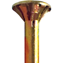 Load image into Gallery viewer, Chromate Coarse Thread Screws Slender Type  10183388  DAIDOHANT
