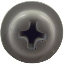 Load image into Gallery viewer, Washer Head Tapping Screw Beige  10183920  DAIDOHANT
