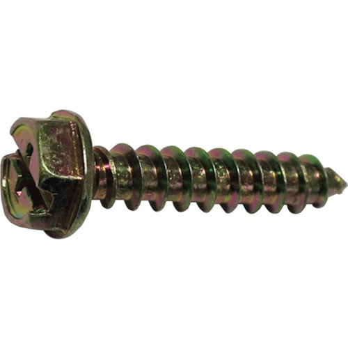 Chromate Hex Head Tapping Screw With flange  10183927  DAIDOHANT