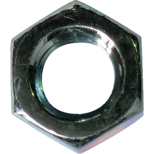 Hexagon Nut  10184669  DAIDOHANT